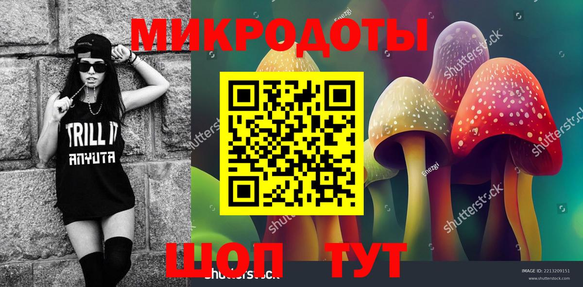 где купить   Галлюциногенные грибы мицелий  Переславль-Залесский  Вход с VPN  Псилоцибиновые грибы GOLDEN TEACHER 