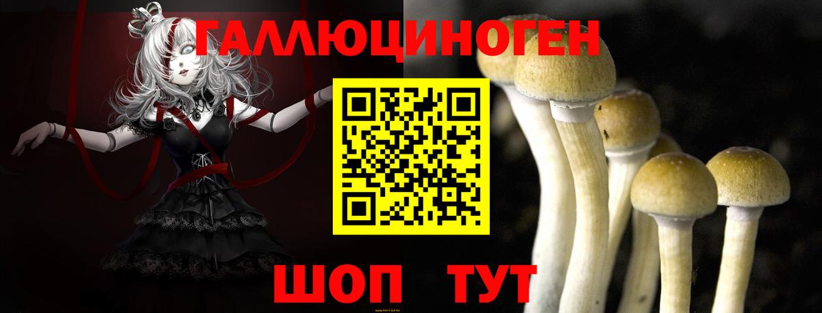 Псилоцибиновые грибы MAGIC MUSHROOMS Переславль-Залесский